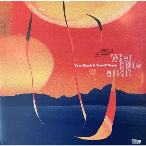 Tom Misch & Yussef Dayes - What Kinda Music