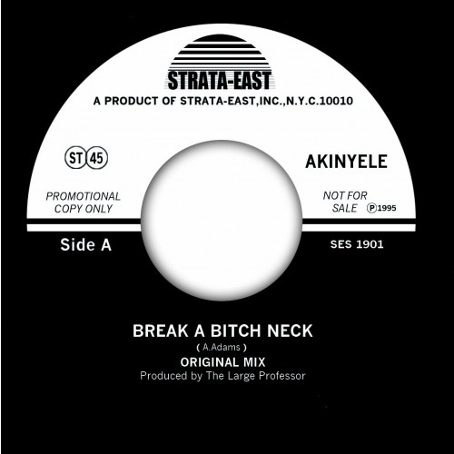 Akinyele - Break A Bitch Neck
