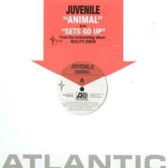 Juvenile (2) - Animal / Holla Back