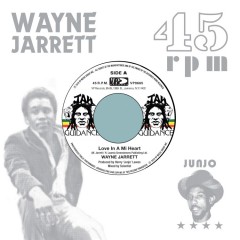 Wayne Jarrett / The Roots Radics - Love In A Mi Heart