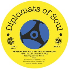 Diplomats Of Soul - Never Gonna Fall In Love Again