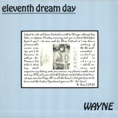 Eleventh Dream Day - Wayne