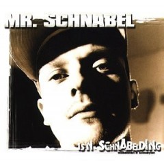 Mister Schnabel - Is'n Schnabelding - Willkommen In Schnabylon