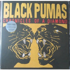 Black Pumas - Chronicles Of A Diamond (Red Vinyl)