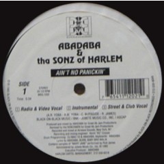 Abadaba & Tha Sonz Of Harlem - Ain't No Panickin' / Burnin' Down Tha House