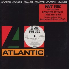 Fat Joe - Opposites Attract (What They Like)
