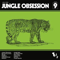 Nino Nardini - Jungle Obsession