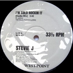Stevie J - I'm Cold Rockin It