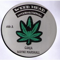 Wayne Marshall / Unknown Artist - Ganja / Weed Anthem