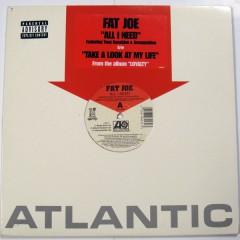 Fat Joe - All I Need / Take A Look At My Life
