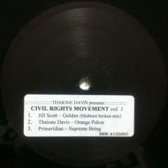 Thaione Davis - Civil Rights Movement Vol. 1