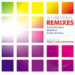 Hu Vibrational - Remixes
