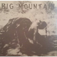 Various - Big Mountain - Benefit Compilation