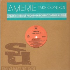 Amerie - Take Control / That's What UR