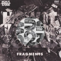 Damu The Fudgemunk - HISS Fragments