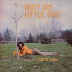 Trevor Dandy - Don't Cry Little Tree