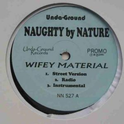 Naughty By Nature - Wifey Material