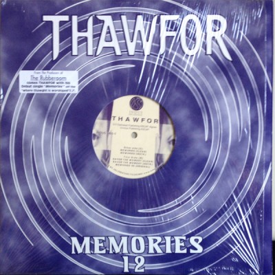 Thawfor - Memories / Savor The Moment