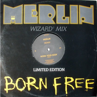 Merlin - Born Free