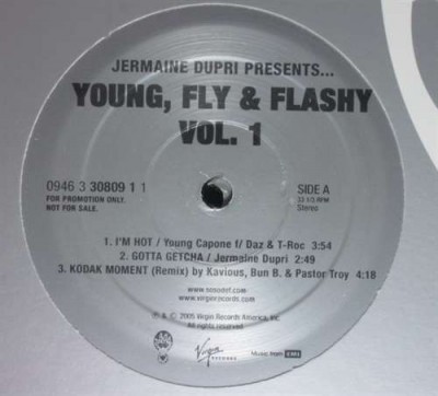 Various - Young, Fly & Flashy Vol. 1