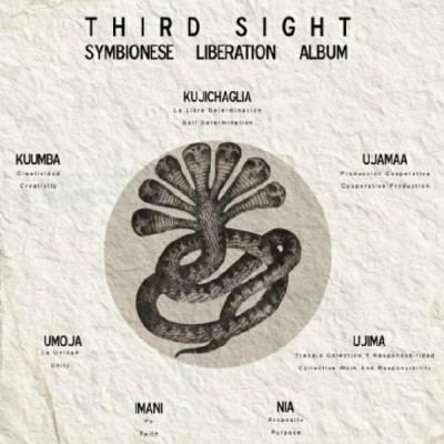 Third Sight - Symbionese Liberation Album