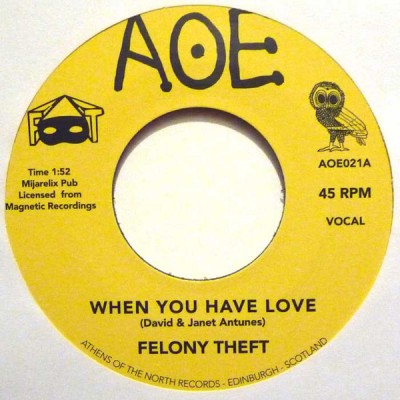 Felony Theft - When You Have Love / Run For Cover
