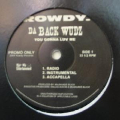da backwudz you gonna love me instrumental