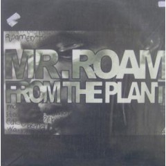 Mr. Roam from the Plant - Groupie Central/Sunny Kiss Is Wack