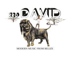 Bro. David - Modern Music From Belize