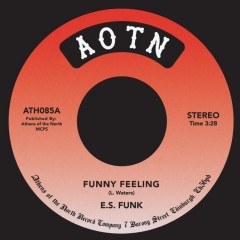 E.S. Funk - Funny Feeling / Shake Your Body