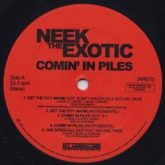 Neek The Exotic - Comin' In Piles 