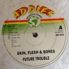 Future Troubles - Skin, Flesh & Bones