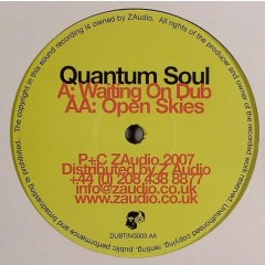 Quantum Soul - Waiting On Dub / Open Skies