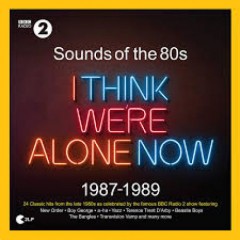 Various - Sounds Of The 80s I Think We're Alone Now 1987-1989