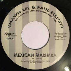 Shawn Lee & Paul Elliott - Mexican Marimba