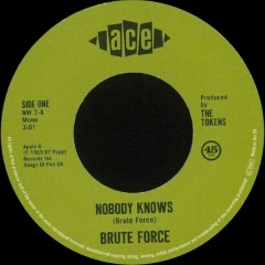 Brute Force - King Of Fuh / Nobody Knows
