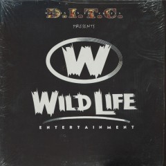 Various - D.I.T.C. Presents Wild Life Entertainment