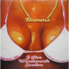 J-Live / Wordsworth / Soulive - Bosoms