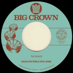 Bacao Rhythm & Steel Band - My Jamaican Dub / The Healer