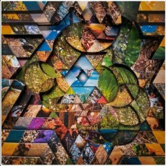 Miguel Atwood-Ferguson - Les Jardins Mystiques Vol.1 (Ltd 4LP+MP3)