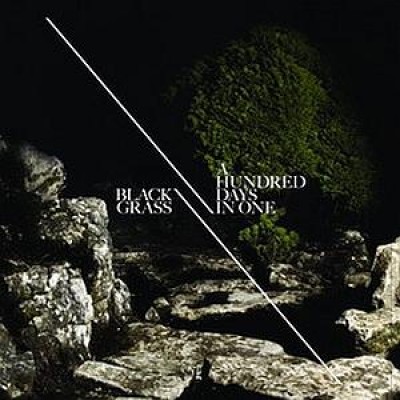 Black Grass - A Hundred Days In One 