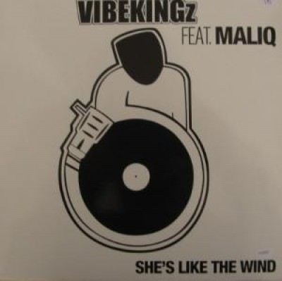 Vibekingz - She's Like The Wind