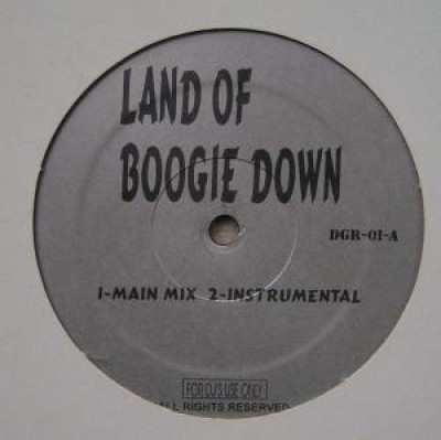 KRS-One - Land Of Boogie Down / Satisfaction