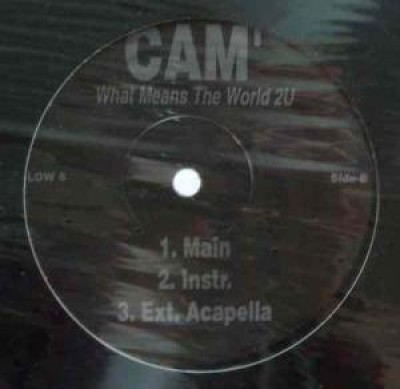 Cam'ron - What Means The World 2U