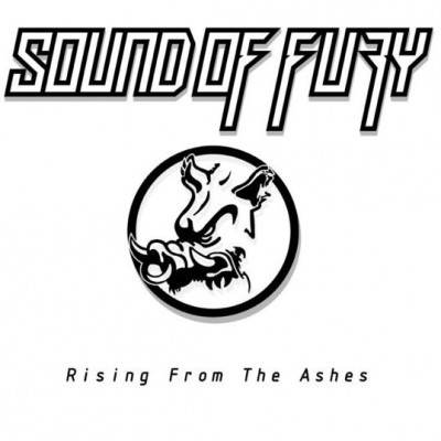 Sound Of Fury - Rising From The Ashes
