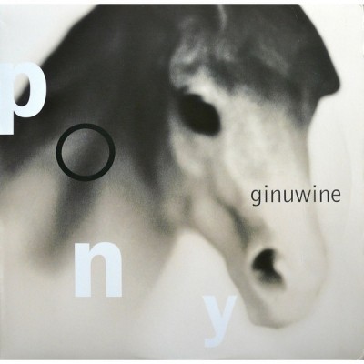 Ginuwine - Pony
