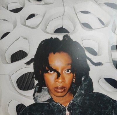 Little Simz - No Thank You