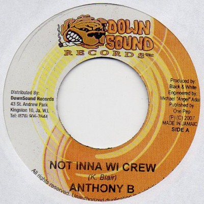 Anthony B - Not Inna Wi Crew