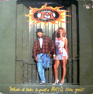 Mellow Man Ace - What's It Take To Pull A Hottie (Like You)?