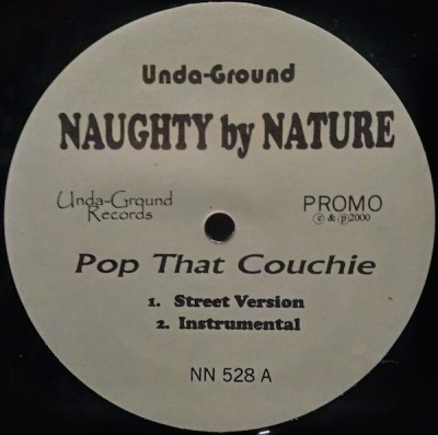 Naughty By Nature - Pop That Couchie 